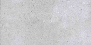 Керамогранит NT Ceramic Rockstar New York Matt арт. NTTVL99826M (60x120) матовый